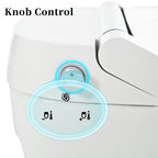 Smart Toilet with Built-in Heated Seat
