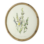 Flora Print Round Frame Set of 4