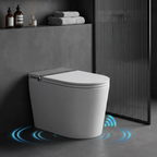Luxury Intelligent Toilet