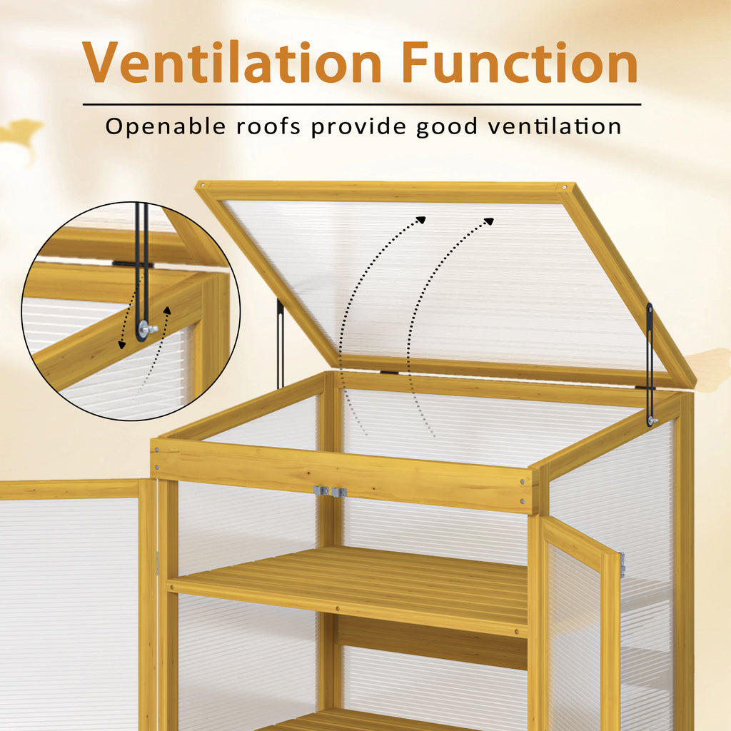 Wooden Cold Frame Greenhouse for Outdoor Gardening