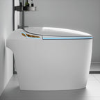 Unique Smart Toilet with Built-In Bidet
