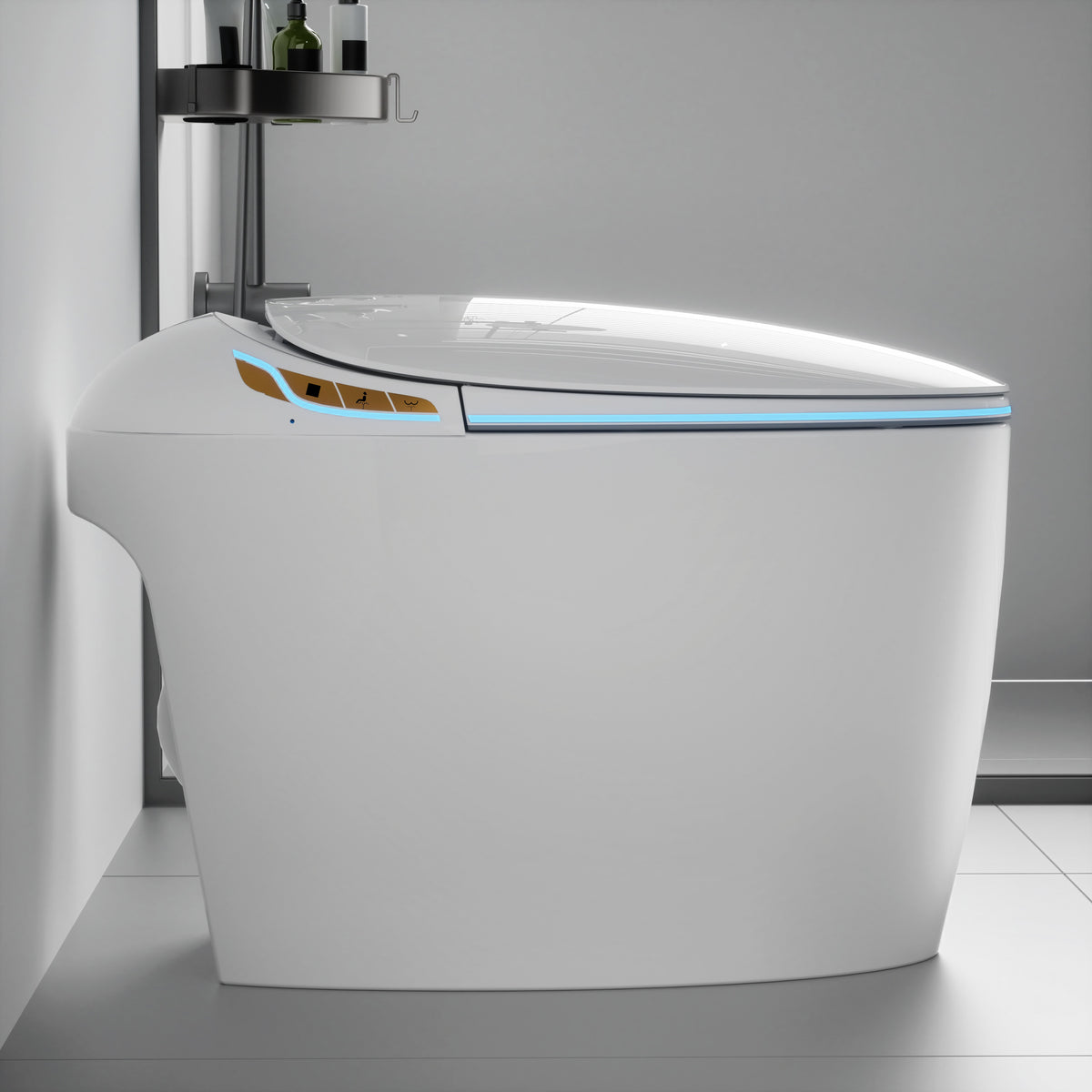 Unique Smart Toilet with Built-In Bidet