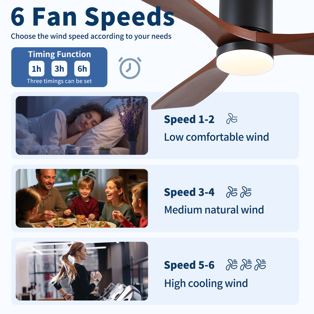 52 Inch Modern Matte Ceiling Fan