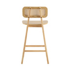 Bari Indoor Wood Barstool
