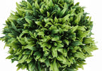 Artificial Plant Set of 3 - 5" Tall Indoor Faux Greenery