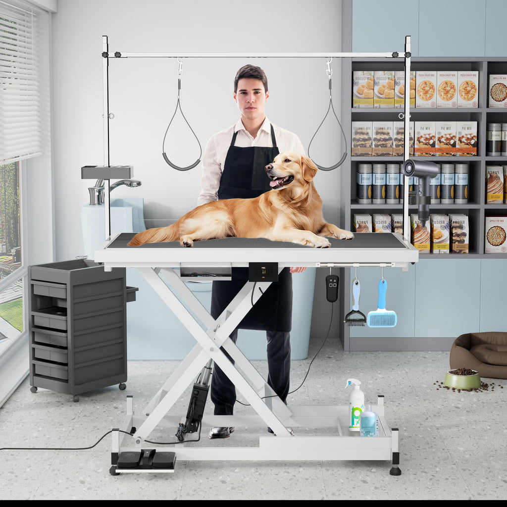 Professional Electric Pet Grooming Table