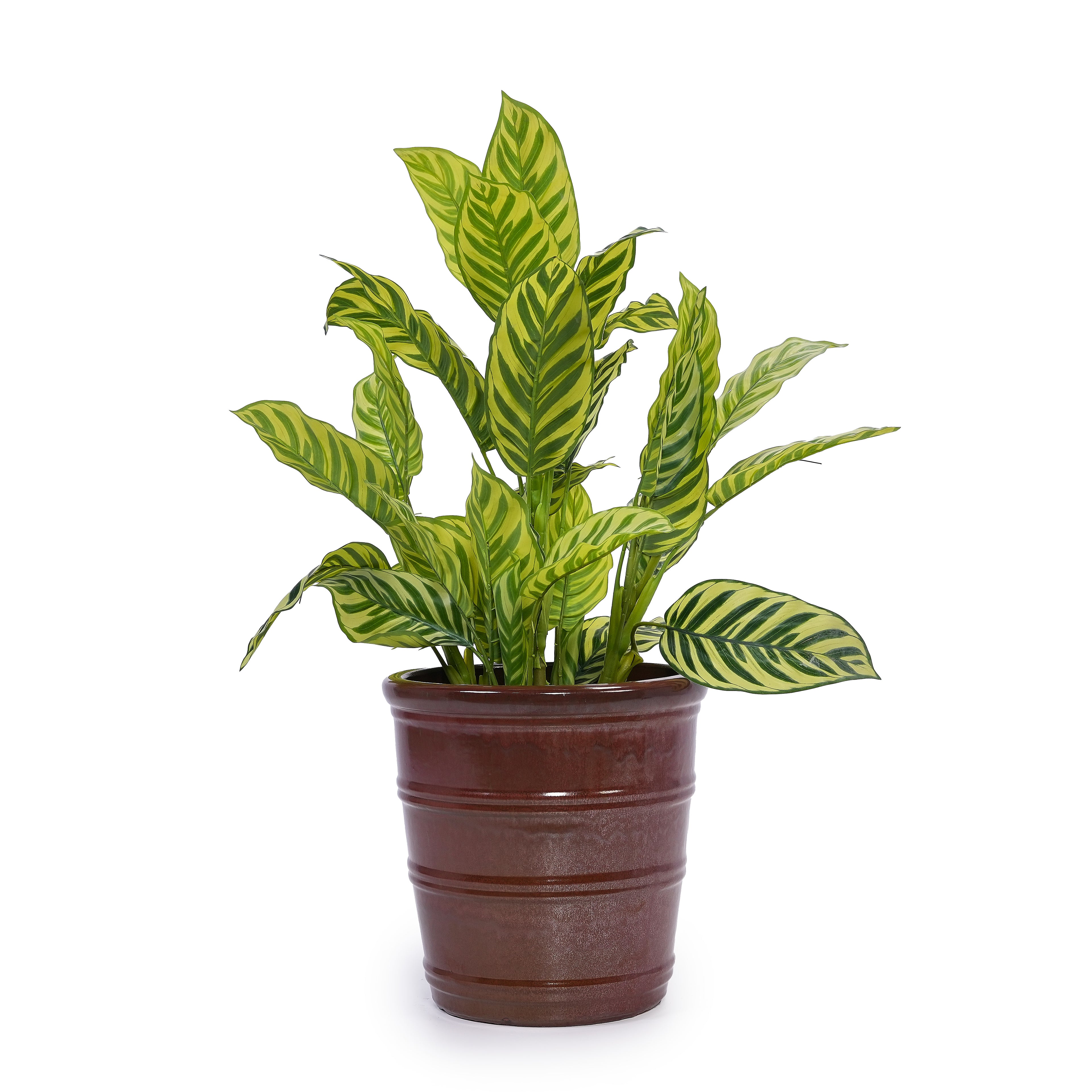 Handmade Glazed Ceramic Planter Set of 3