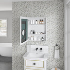 24'' W x 30'' H Surface Frameless Mirror Medicine Cabinet