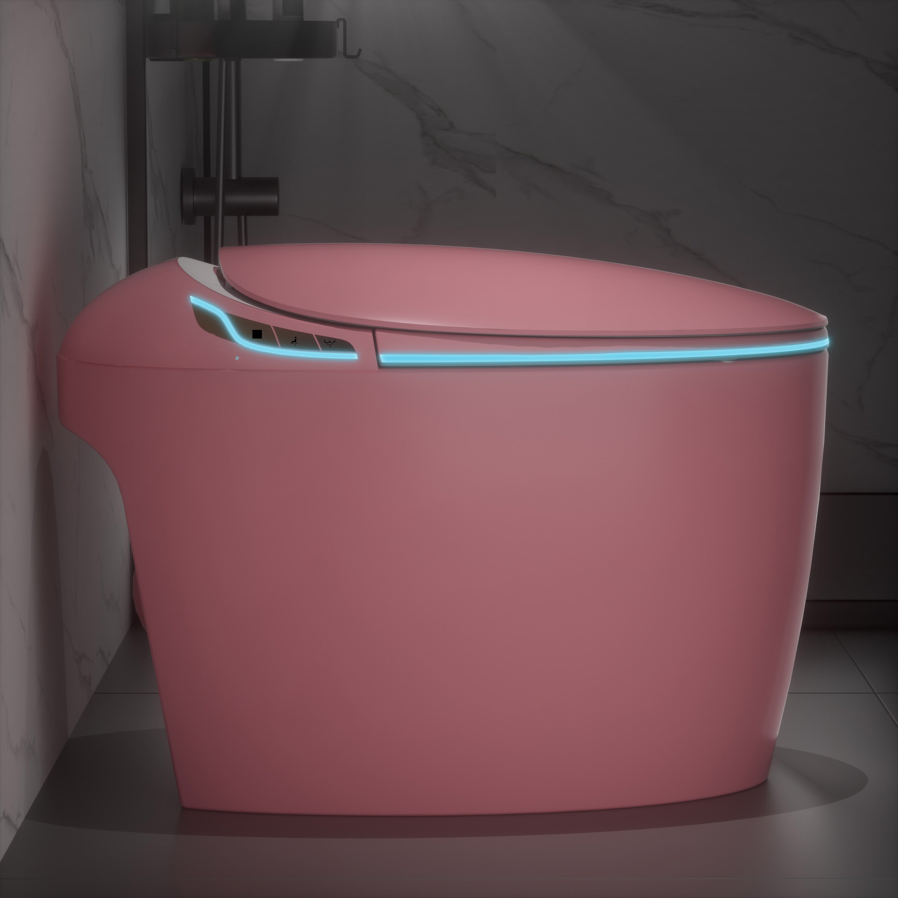 Unique Smart Toilet with Bidet Built In
