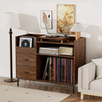 Record Player Stand with Adjustable Shelves