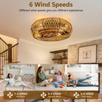 19" Caged Ceiling Fan with Lights and Remote
