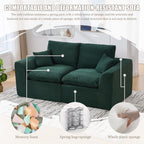 United We Win Modular Sectional Sofa - Comfy Cloud 2 Seater