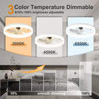 19.7'' LED Ceiling Fan Light with Remote & App Control
