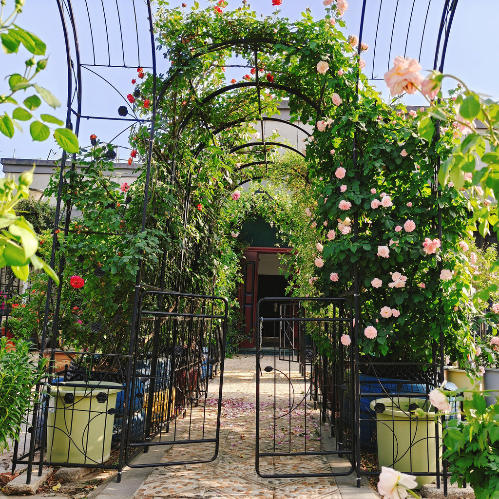 Metal Garden Arch with Gate