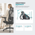 Ergonomic Office Chair