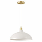 Astral Single Light Pendant Lamp