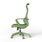 Ergonomic Colorful Office Chair
