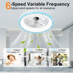 19.7" Modern RGB Ceiling Fan with Lights