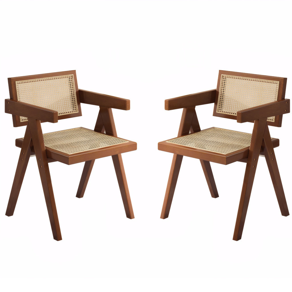 Modern Mid Century Dining Chairs Set of 2