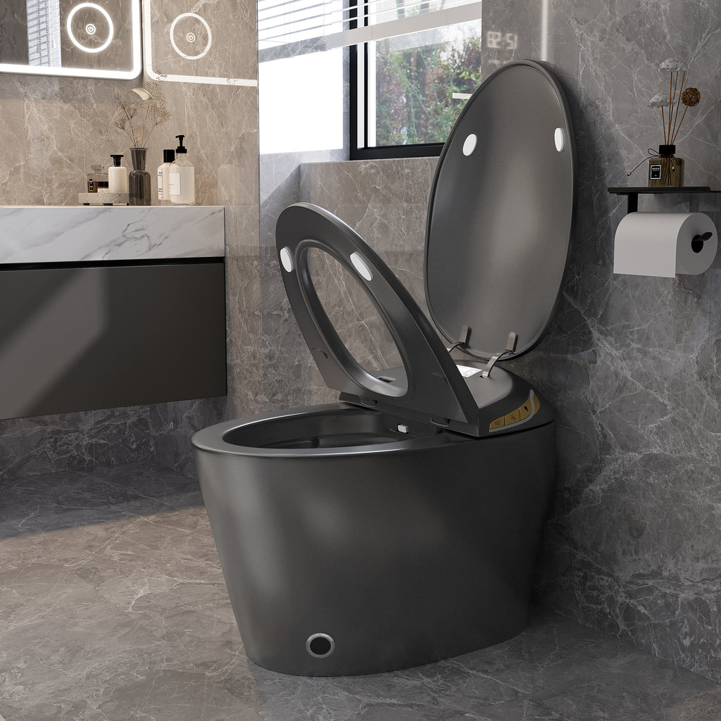 Unique Smart Toilet with Built-in Bidet