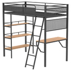 William Matte Twin Loft Bed