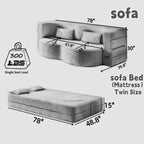Modern Floor Sofa with 2 Pillows