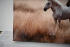 Cozy Country Rustic Horses Wall Art Decor