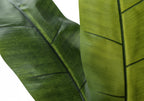 Artificial Banana Tree - 55" Tall Indoor Plant