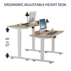 55"×24" Light Adjustable Electric Standing Desk