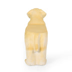 MGO Dog Bench - Outdoor Patio Seating