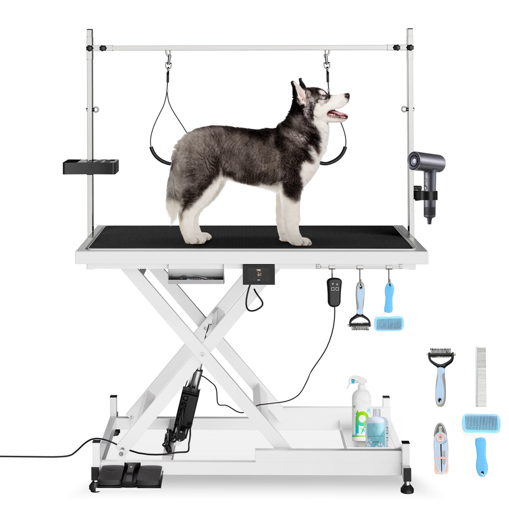 Professional Electric Pet Grooming Table