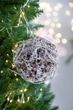D6" Iced Twig Ball Christmas Tree Ornaments, Set of 4
