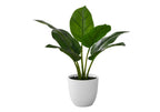 Artificial Plant - 17" Tall Aureum - Indoor Faux Greenery