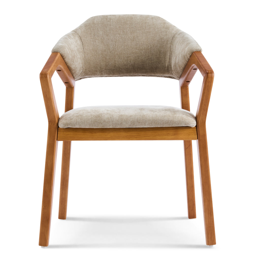 Indoor Dining Chair Set of 2