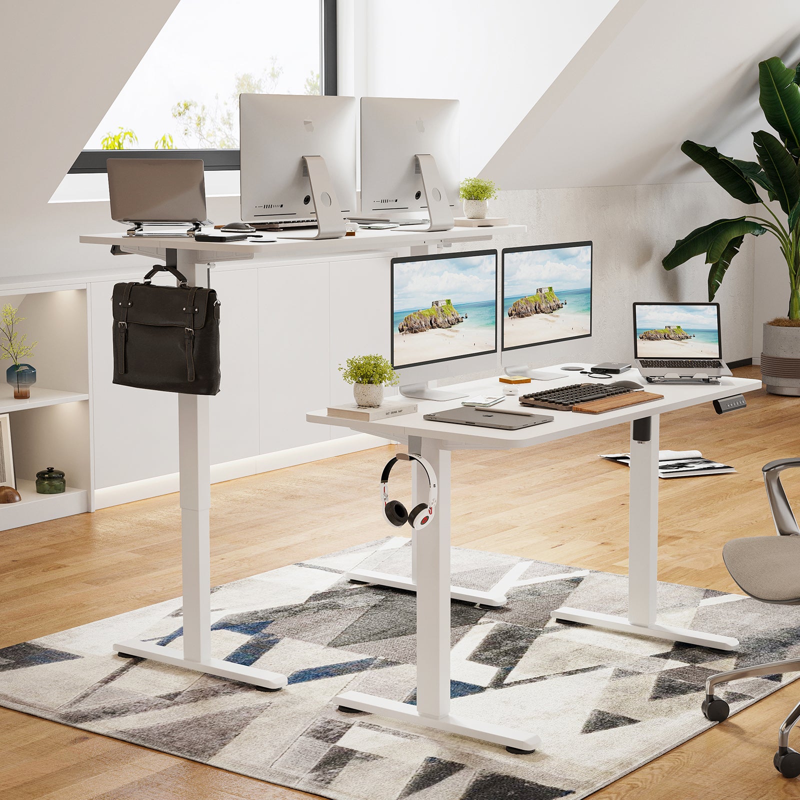 STARY Electric Standing Desk with Splice Board