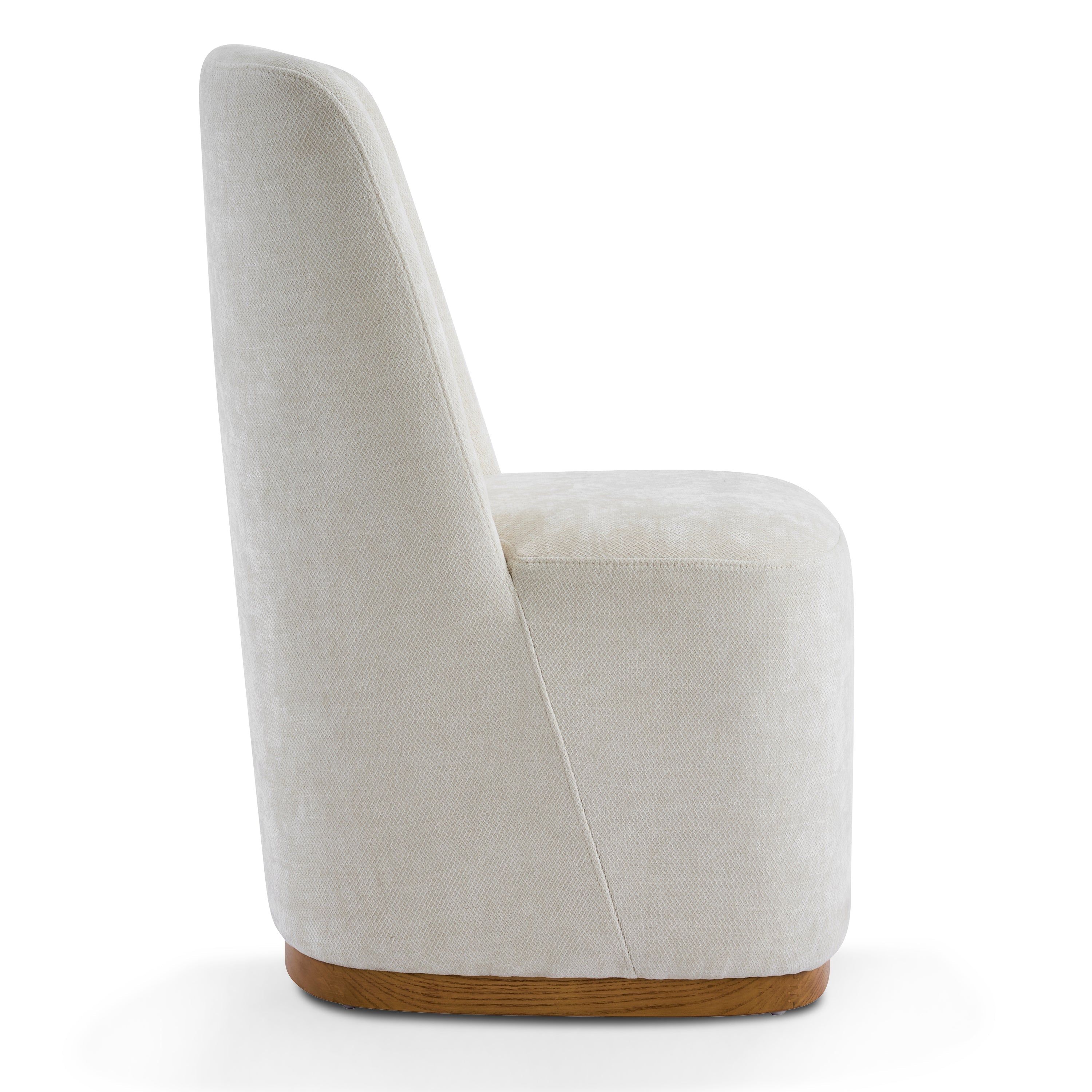 Modern Indoor Dining Chair Set of 2