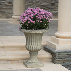 Antique White Italian Urn Planter