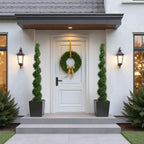 6FT Two-Tone Spiral-Shaped Potted Cedar Tree - 2pcs Set