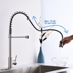 Brushed Nickel Single Handle Kitchen Faucet