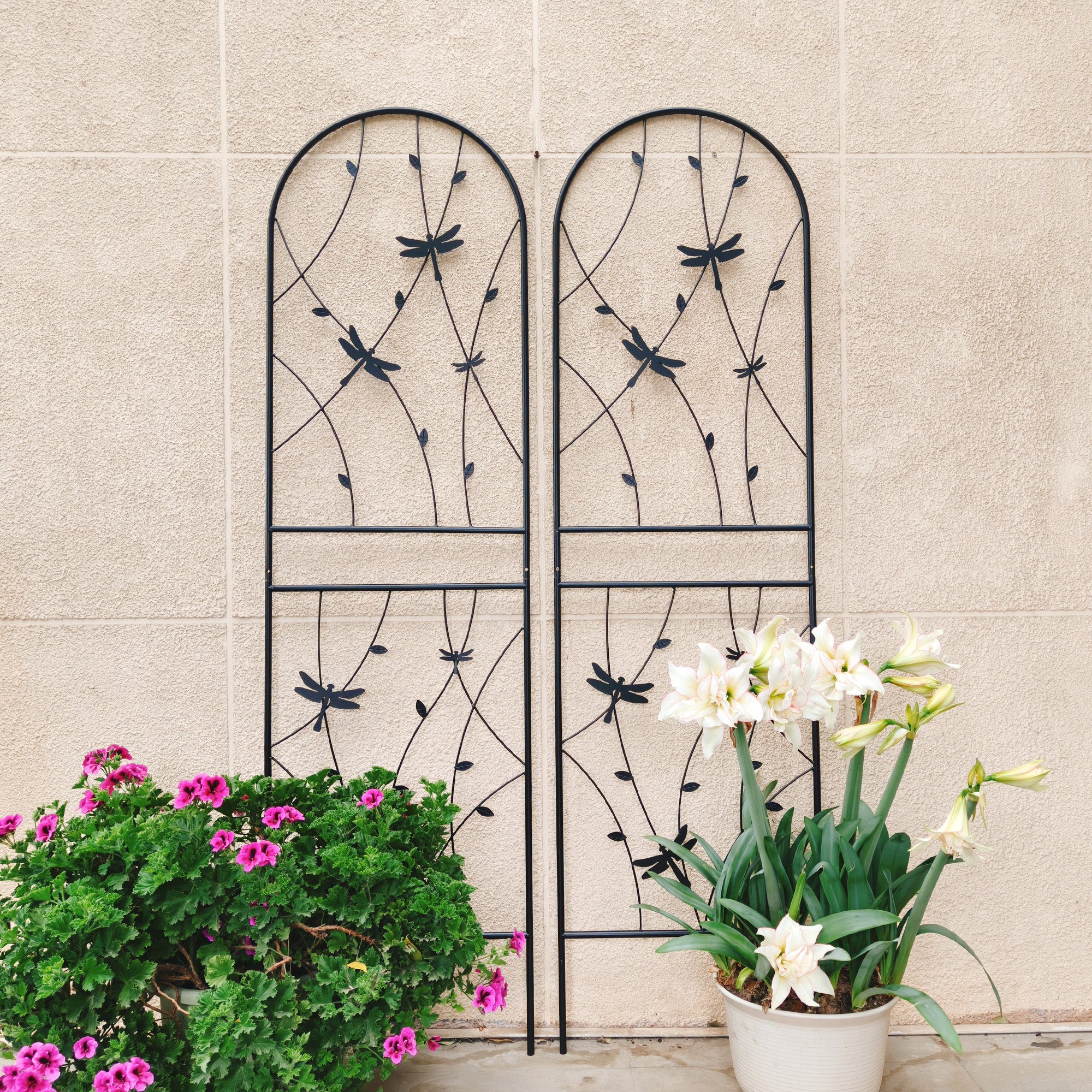 4 Pack Metal Garden Trellis 71" x 19.7"
