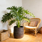 Large Round Planters Set of 2
