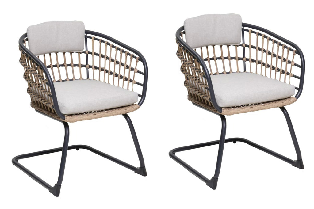 Wicker Dining Chair Set of 2