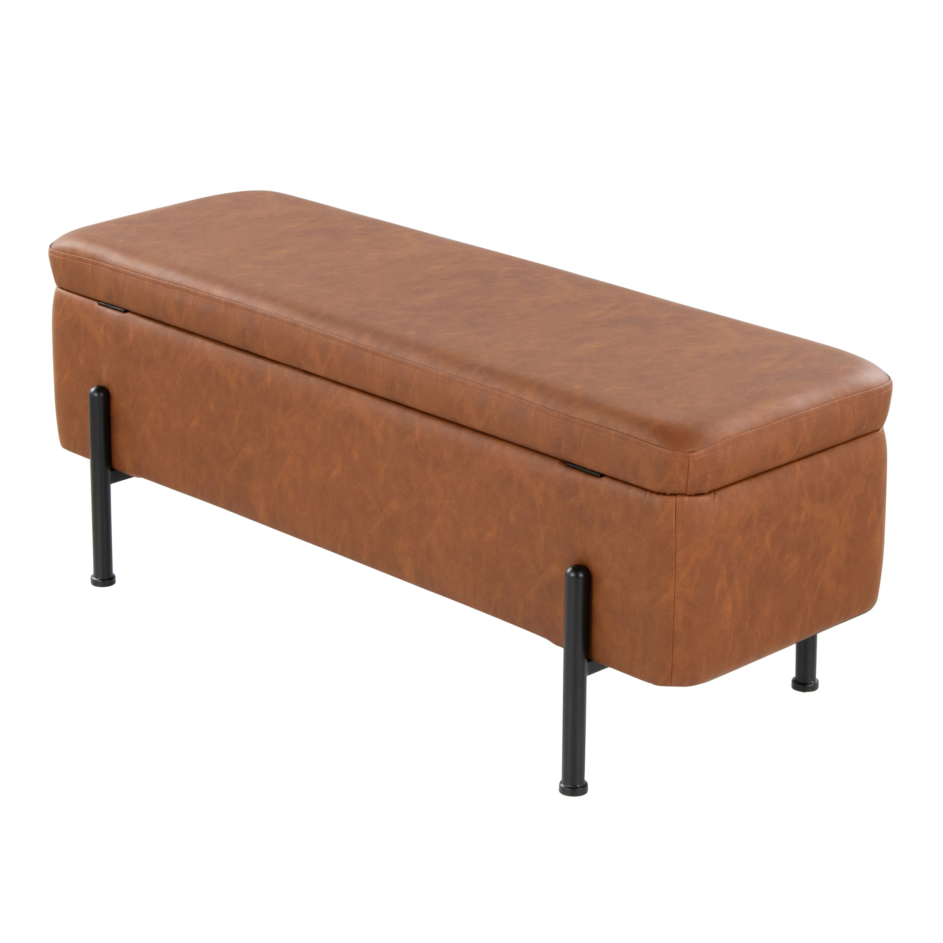 Daniella Contemporary Storage Bench