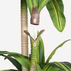 6' Artificial Dracaena Tree