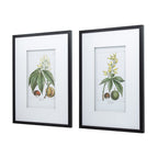 19.7x27.6" Botanical Wall Art Set of 2