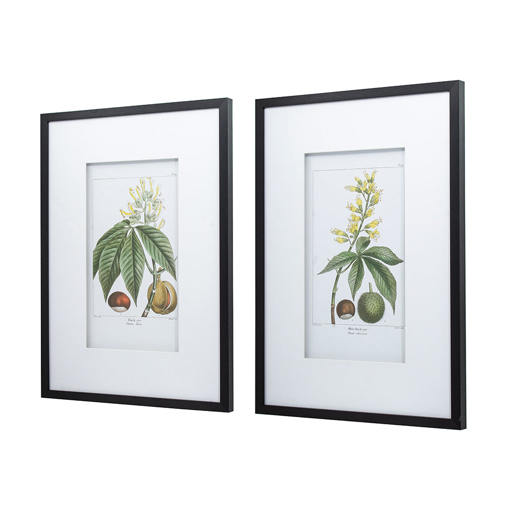 19.7x27.6" Botanical Wall Art Set of 2