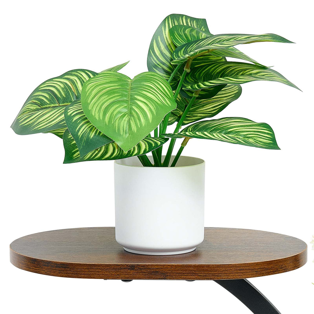 Indoor Plant Stand with Grow Lights