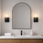 Zephyr Single Light Sconce With Clear Glass Metal