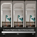 65" x 21" LED Full Length Wall Mirror