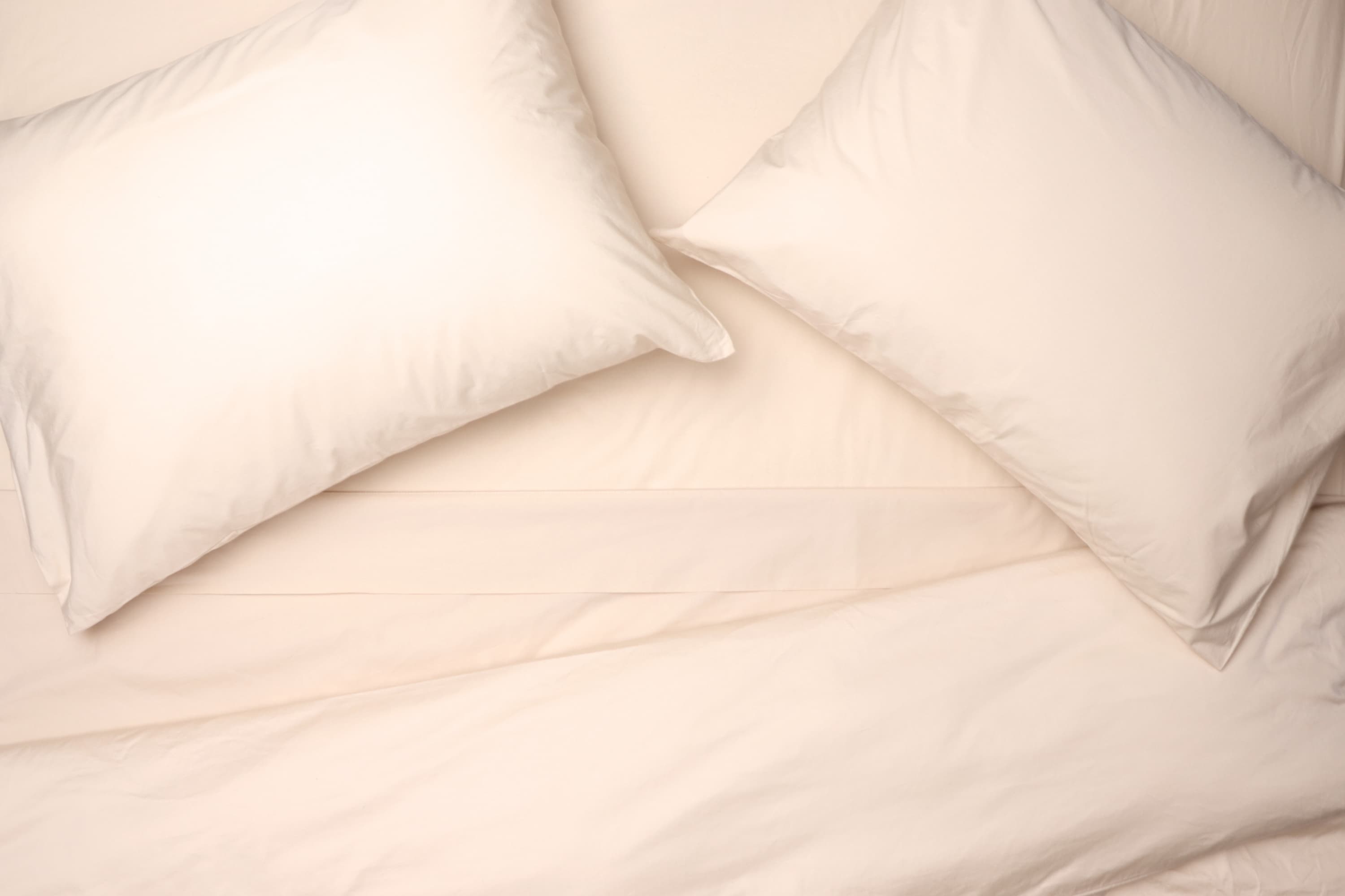 Cloud Fill Bundle w/ Cotton Percale